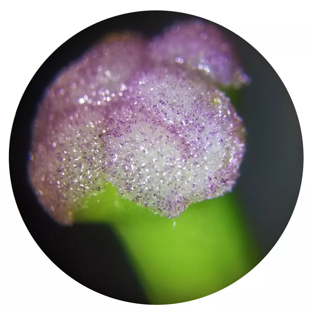 双12给宝宝囤的宝宝用品,双12什么东西适合宝宝囤