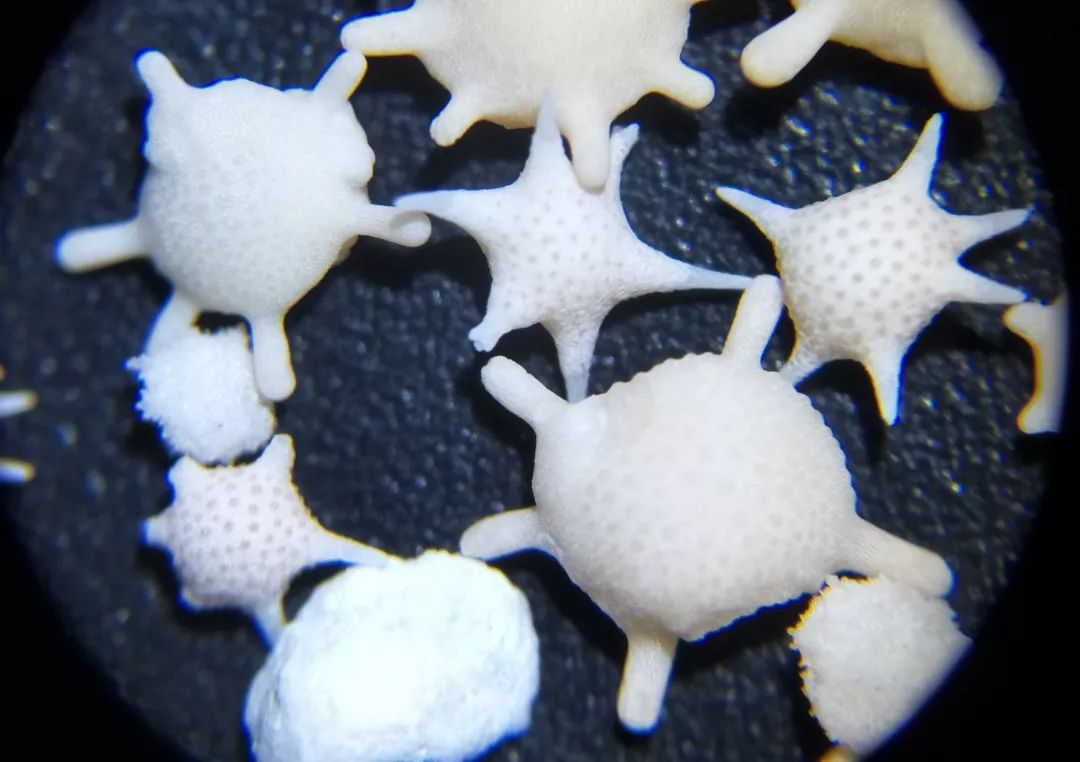 双12给宝宝囤的宝宝用品,双12什么东西适合宝宝囤