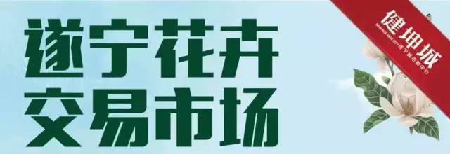 遂宁花卉批发市场,遂宁绿植花卉市场在哪里啊