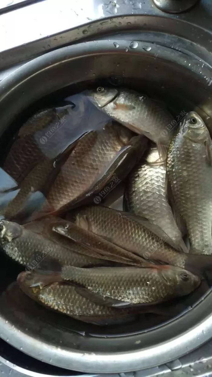 最简单的调漂方法黑坑,调漂最快最简单实用新手入门黑坑