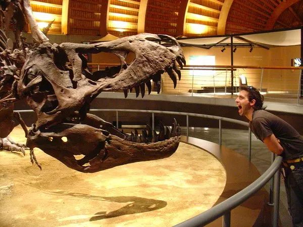 咬合力最小的恐龙是什么龙,恐龙中最大最厉害的恐龙是什么