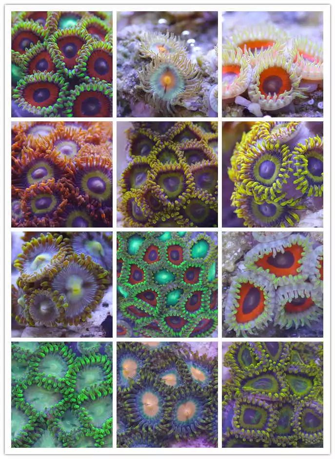 60海缸开缸全记录,1.2米的海缸开缸需要多少费用