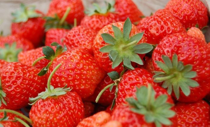 镇海美女老板开启撒钱模式!牛奶、养生壶白拿,进口商品最低五折!晚了就没了