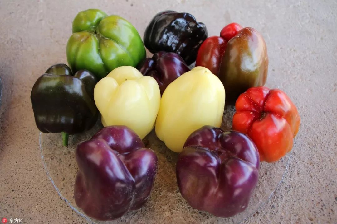 农业部辟谣关于转基因农作物,农业部关于转基因最新回应