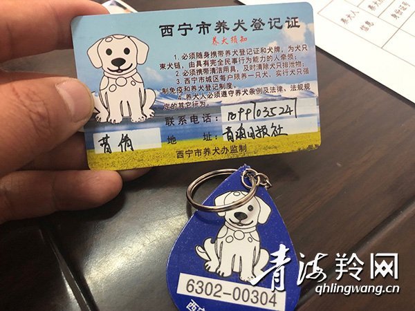 西宁狗狗办狗证拍照,西宁养狗需要狗证吗