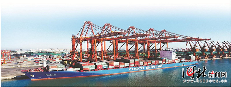 一个渔村的大港梦