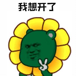 上林葵花节景点,广西上林葵花文化旅游节