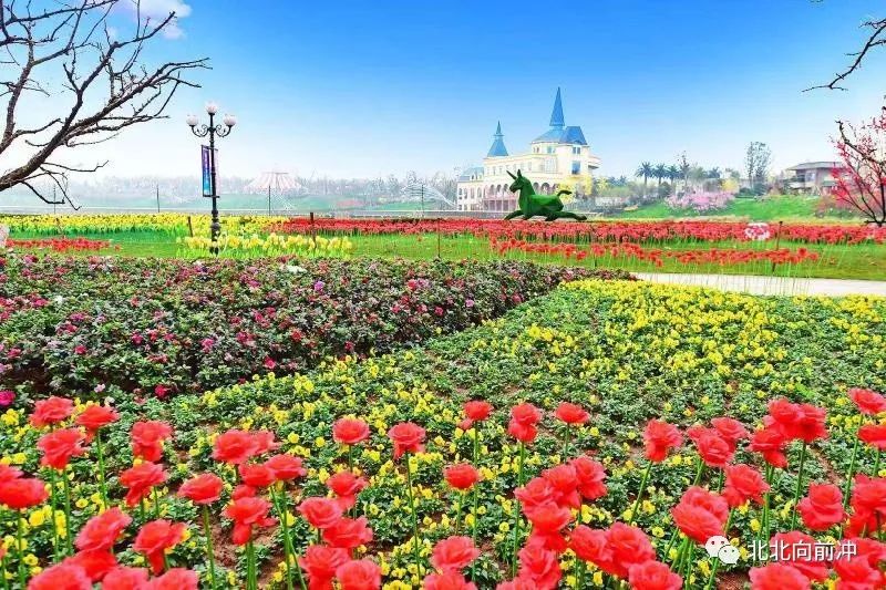 楚才名师讲堂,湖北楚才名师