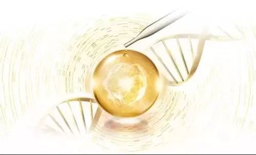 24k黄金原液可以擦脸吗,护肤24k黄金