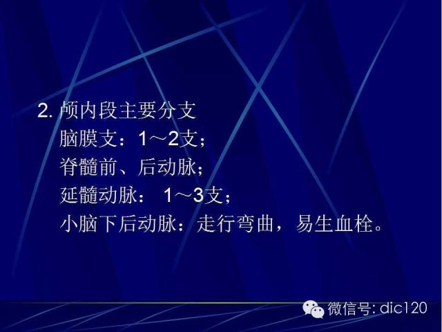 脑血管解剖技巧,脑血管解剖与介入