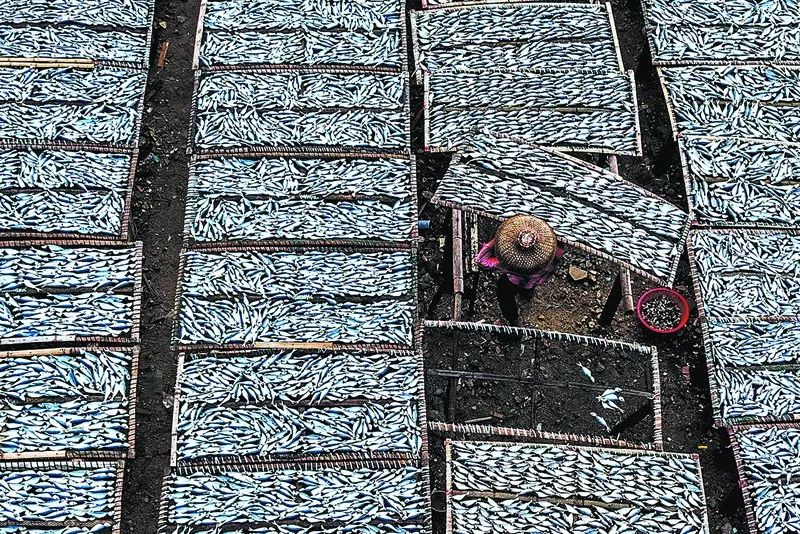 入展作品欣赏,入展作品展示