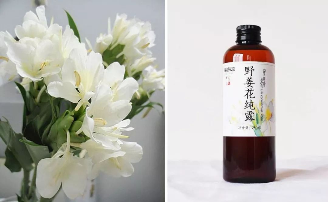 宋慧乔开播新剧,宋慧乔新剧美貌