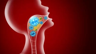 瑞士润喉糖护嗓第一名,瑞士国宝