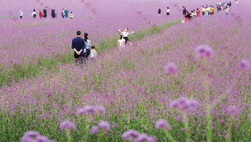 南川当地特色,南川的特点