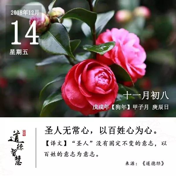 除了萝卜干，还有老棉鞋！新闸出品，暖脚又暖心