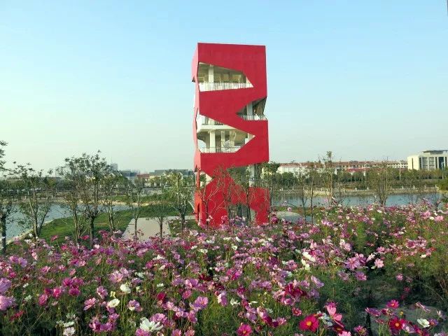 最新通报！衡水这些单位、小区获省级命名，看在你家旁边吗？