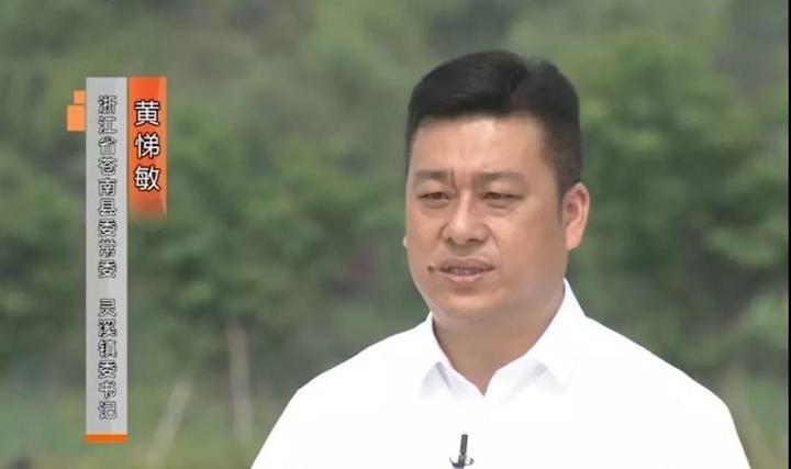 浙江苍南小镇在哪里,苍南旅游小镇亮相