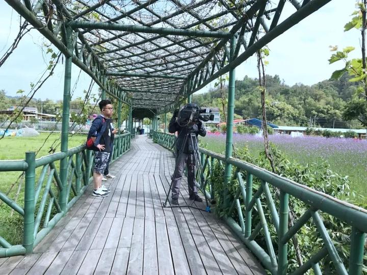 浙江苍南小镇在哪里,苍南旅游小镇亮相