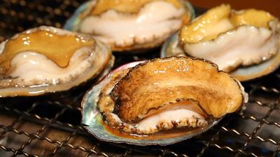 惠州机场直达航线,惠州机场2023航线