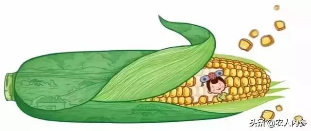 农业与艺术,农业可以很艺术