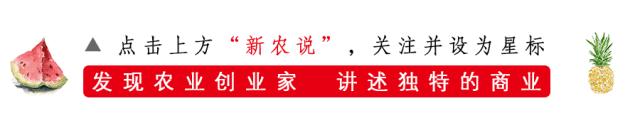 西梅是不是原来的李子,西梅不是李子的西梅