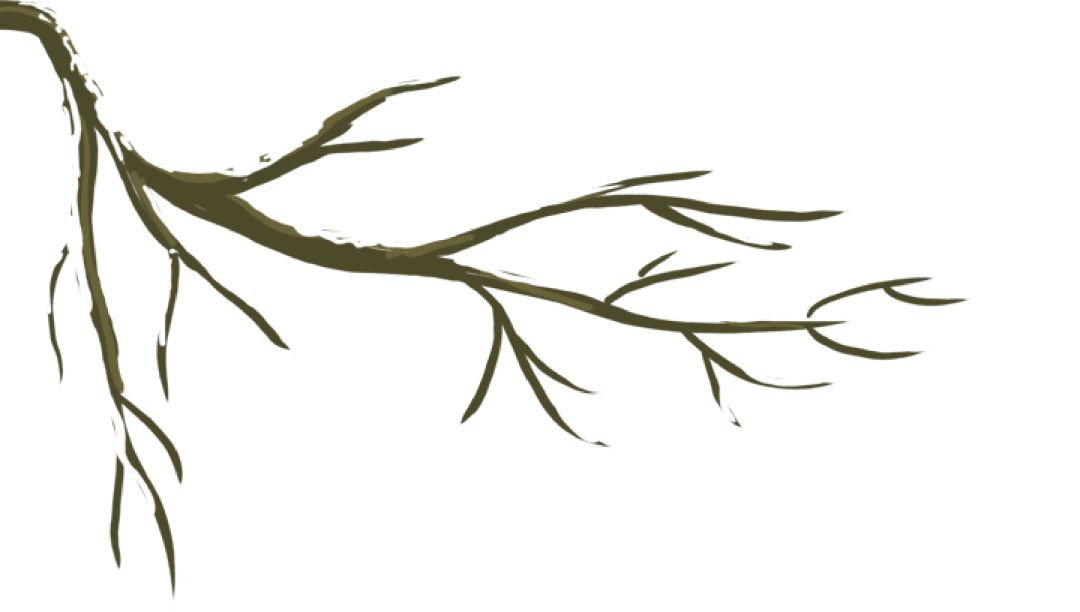 拉皮条要不要坐牢,拉皮条抓住要坐牢吗