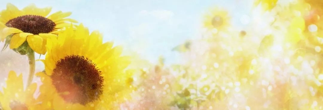 令人动容曾经支教的老师,支教老师感动落泪的视频