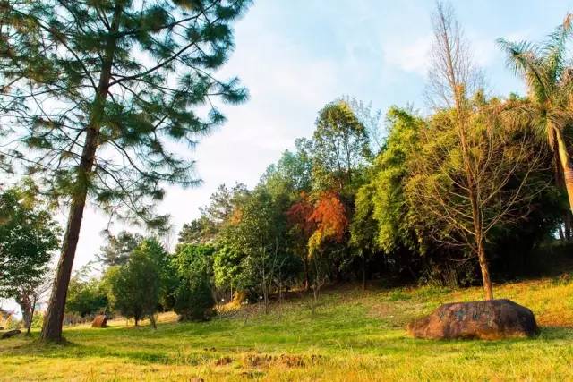 福州一中全国排名,福州一中是全国排名第几