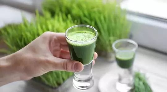 大麦若叶青汁可以解决便秘吗,便秘喝大麦若叶青汁有用吗