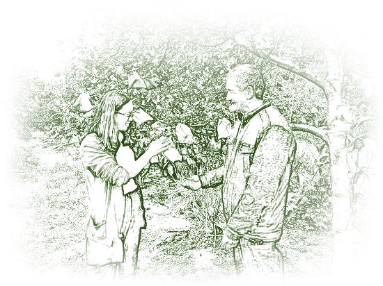 美文欣赏人生感悟,美文欣赏作者作品