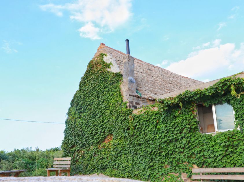 最具幸福感的县级市中唯一一座上榜的北方小城，光是海鲜就能吃到你激灵！