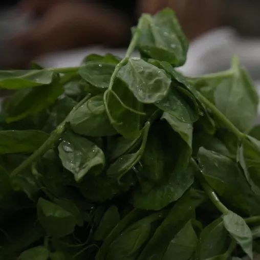 在成都一天三顿都吃火锅,成都吃羊肉汤的地方