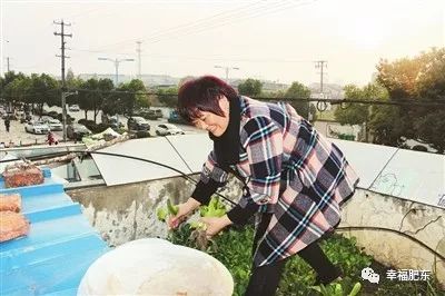 最美妻子视频,最美妻子主要事迹材料