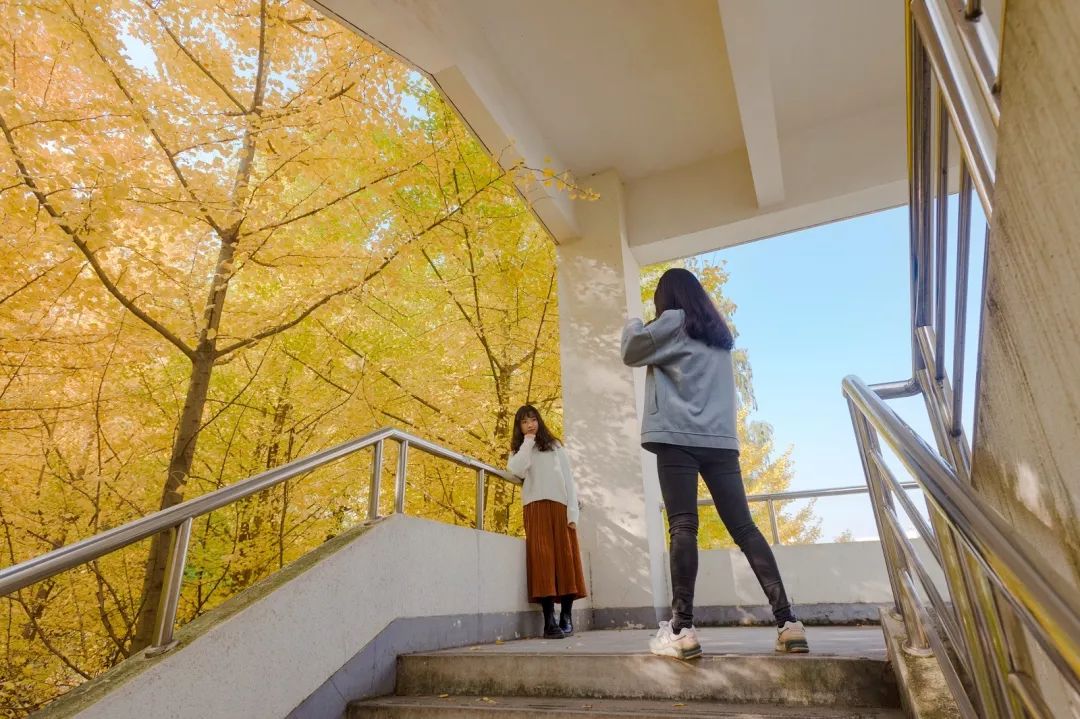 “妈，我在华师看了一场金黄色的雪！”