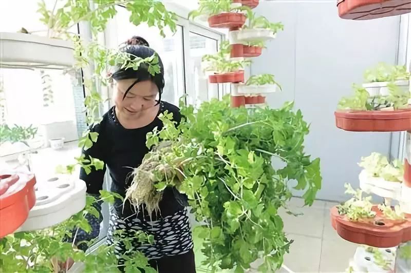 过去一周经济热点,看到这些信息你能想到什么商机