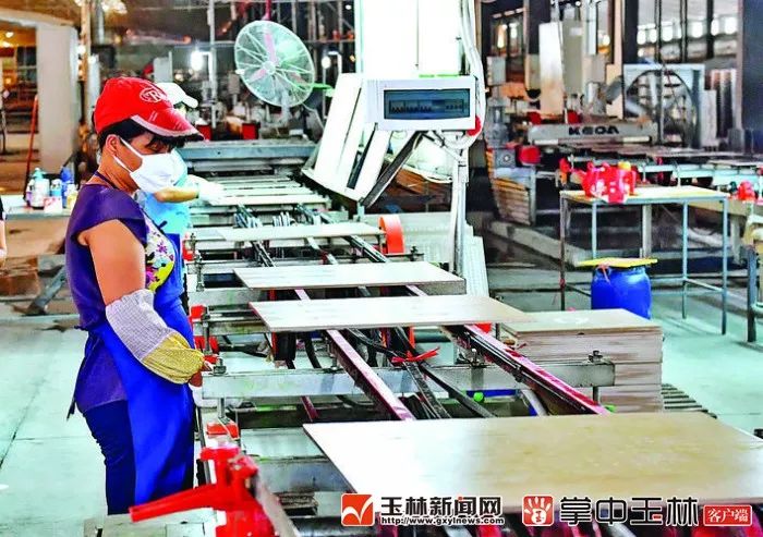 你真的了解博白吗？来了解一下！