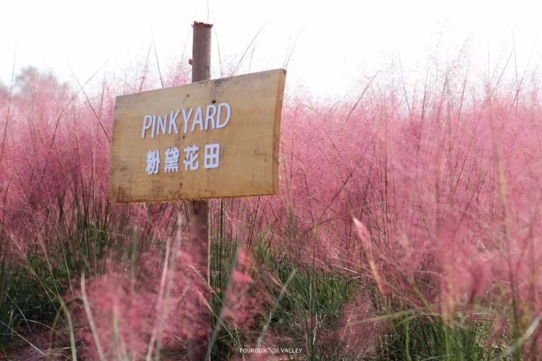 你还不知道乡村旅游吗,你还不知道哪些地方好玩