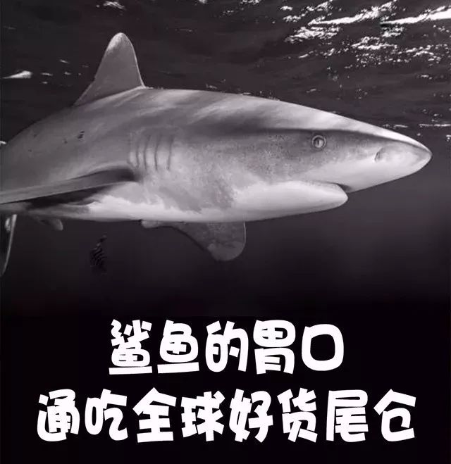 奢品特卖会,轻奢清仓活动来啦