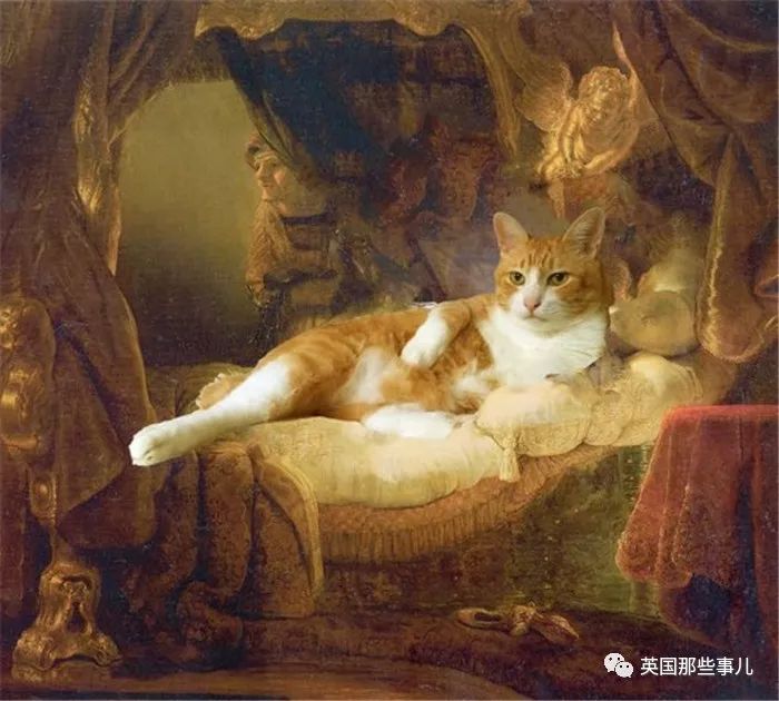 2018年在日推上“青史留名”的喵星人，引起舒适！