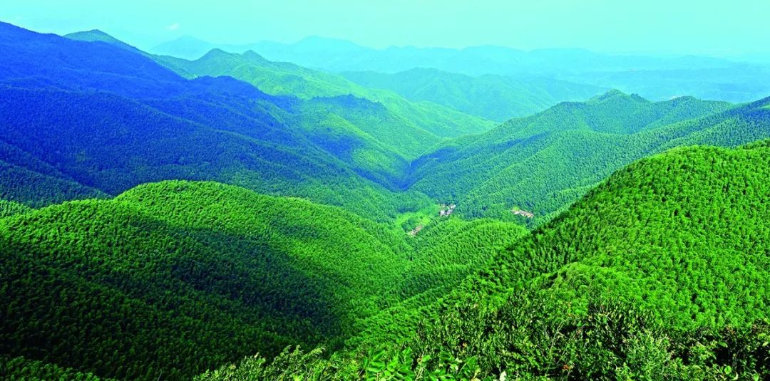 遂川家乡好风光,遂川县有哪些美景