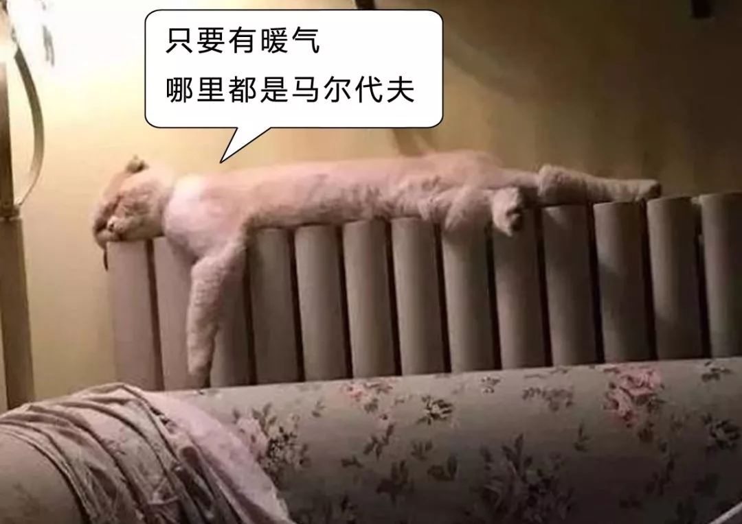 暖气放气放到什么程度是没有气了,暖气里全是气没有水