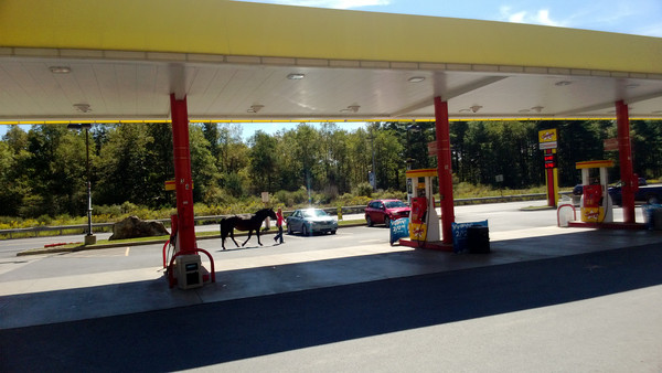 美国纽约自驾游路线,美国西部自驾游记2016版