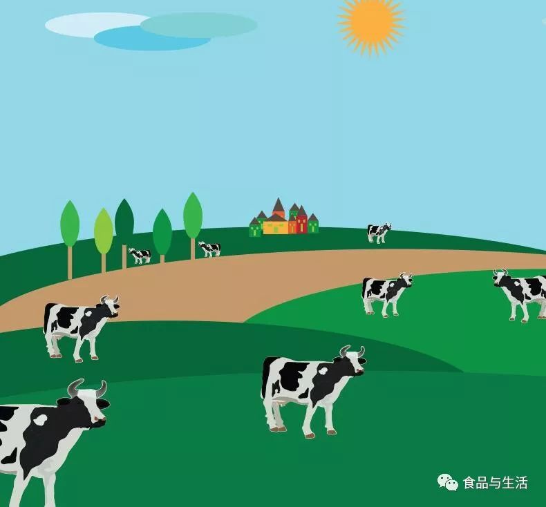 a2奶2段有香兰素吗,牛奶2a是什么意思