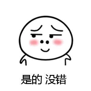 正宗东北人参煲汤,南方人的人参煲汤味道好极了