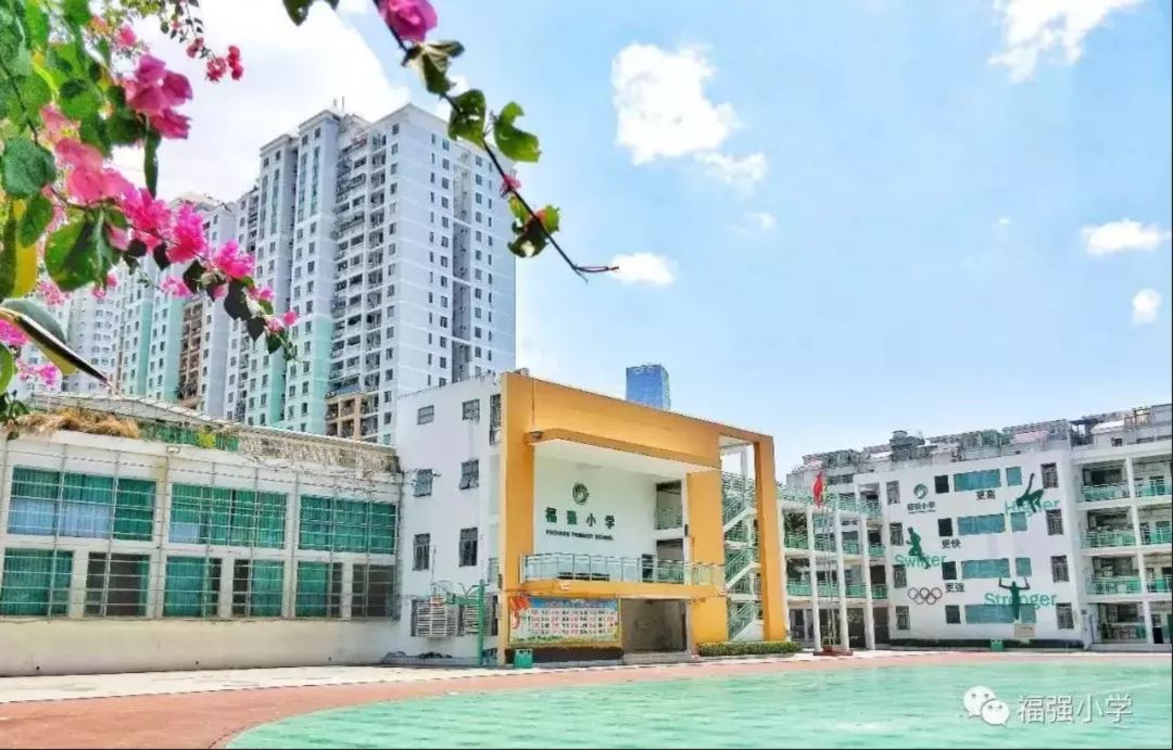 福强小学实际排名,福强小学最新消息