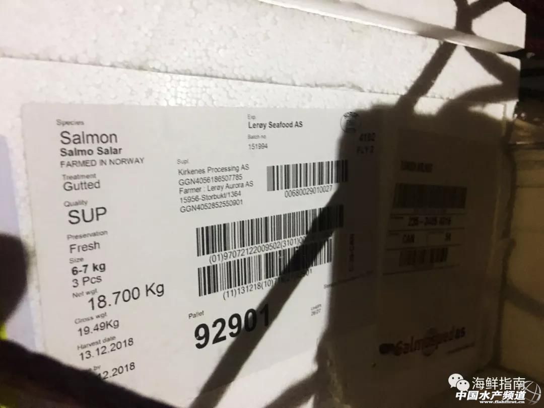 进口的三文鱼是新鲜的还是冷冻的,正宗挪威三文鱼购买渠道