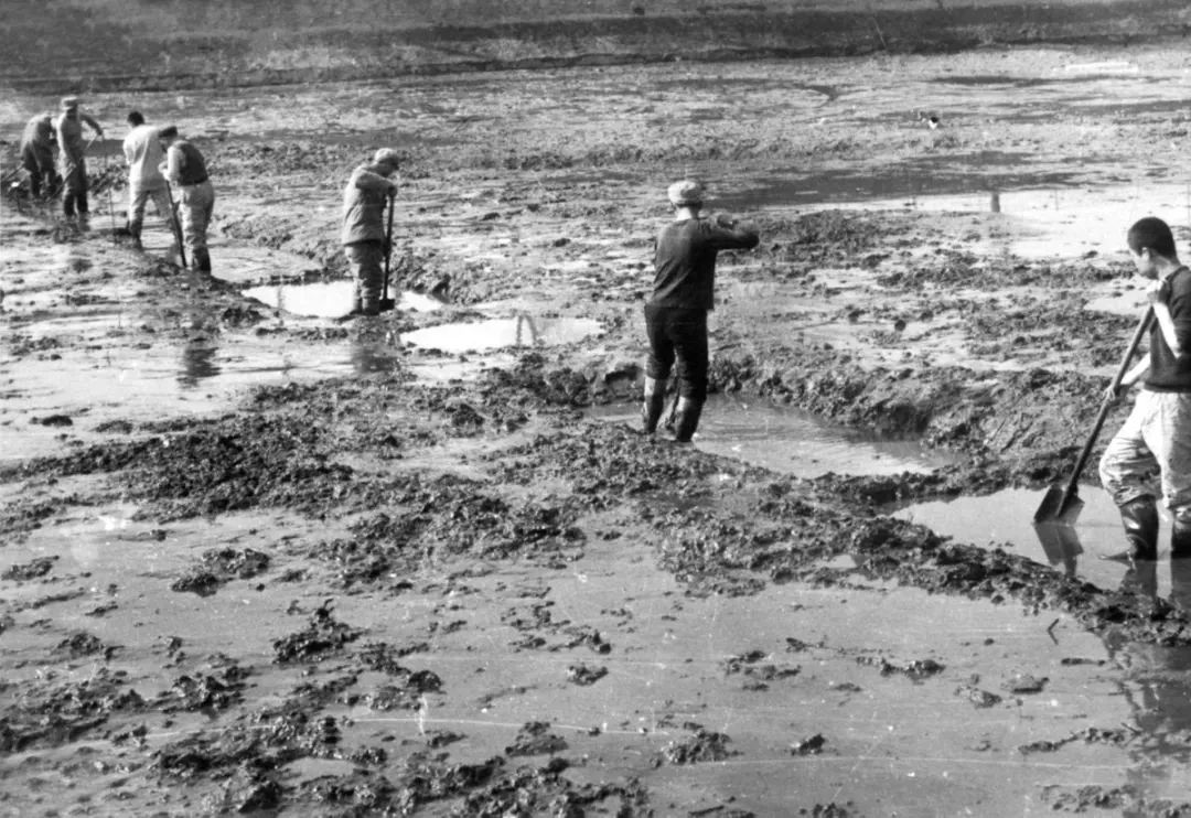 改革开放四十年监狱系统,监狱纪念改革40周年图片