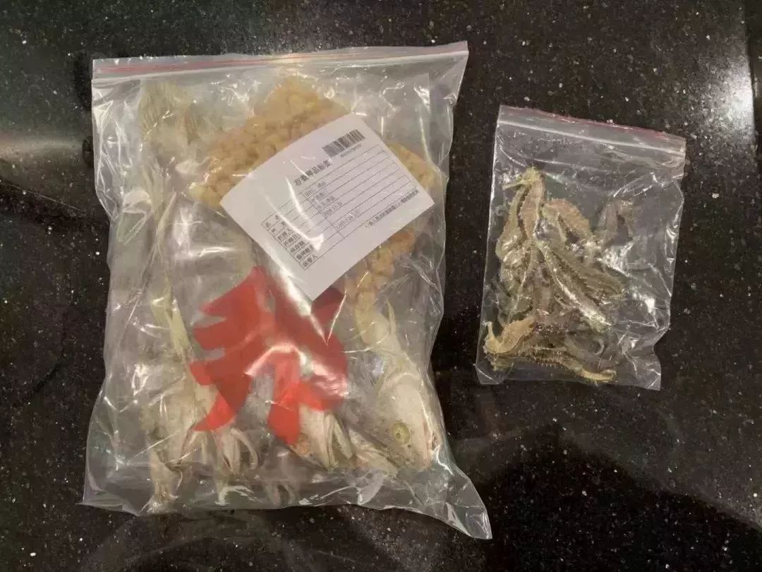 去香港澳门要注意什么安全,去澳门的十大忌讳有哪些