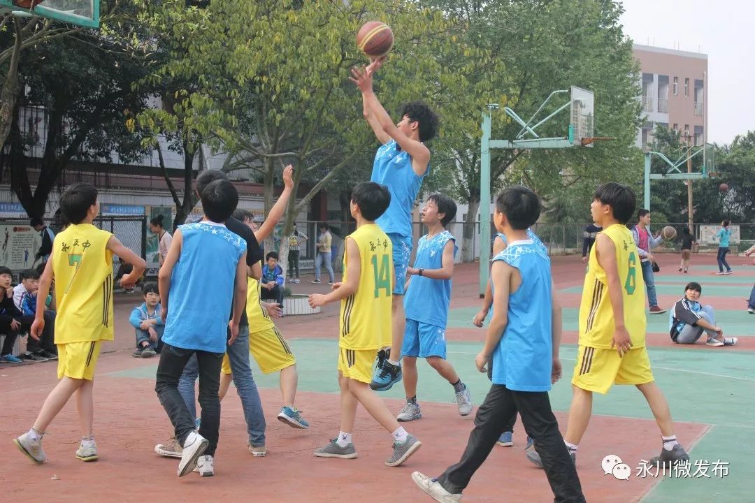 永川县特色学校,永川全部学校