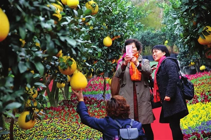 冬天江浙沪一日游必去的景点,上海冬季旅游攻略